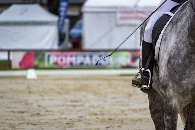 The Dressage Scales of Training: Impulsion (Part 4 of 6)