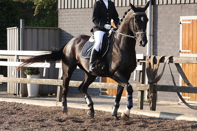 How to Get a Deeper Seat in Dressage