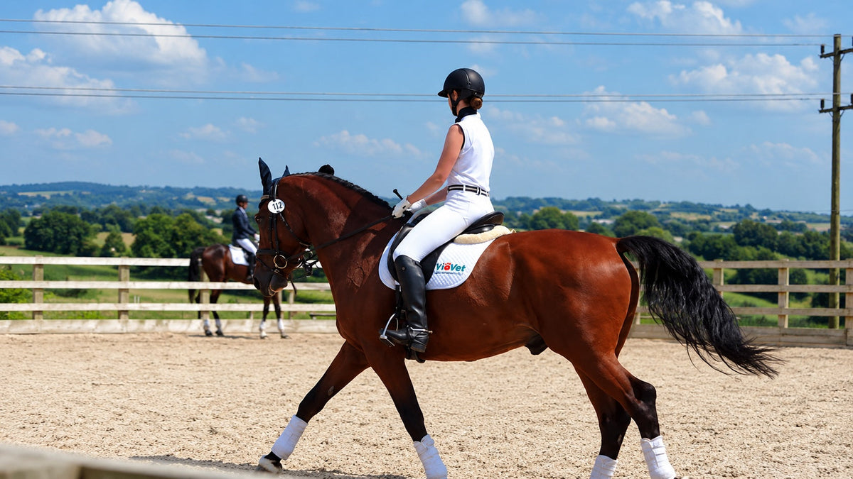 How Riding Squares Benefits You and Your Horse