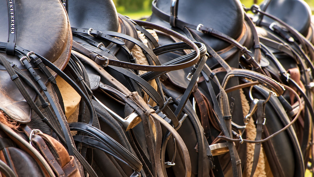 How to Care for Horse Tack Year-Round
