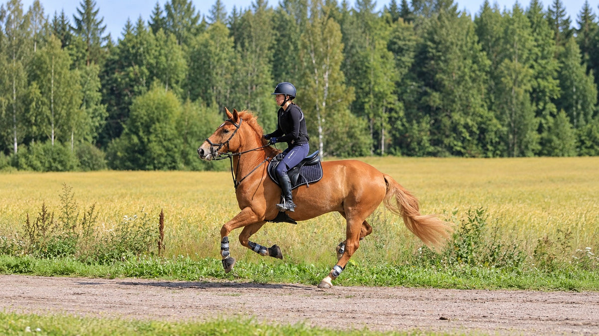 How to Thrive with a Horse Who is Strong in Canter