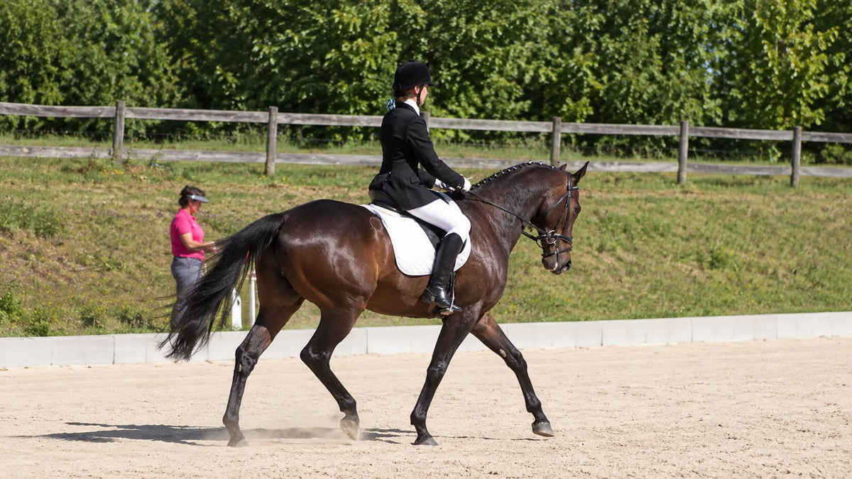 The Dressage Scales of Training: Straightness (Part 5 of 6)