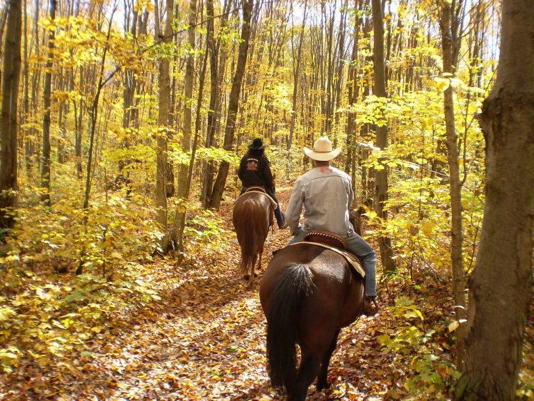 A Ride with a View: Top 5 Reasons to Trail Ride This Fall