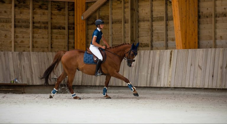 How to Tell if Your Horse is Left-Handed or Right-Handed
