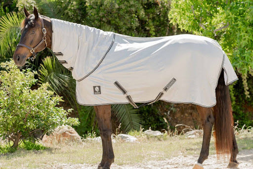 Is Your Horse Summer-Ready? Here’s Why a Fly Sheet and Mask Help