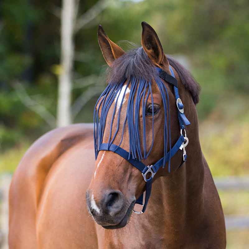 How to Choose the Right Horse Fly Mask