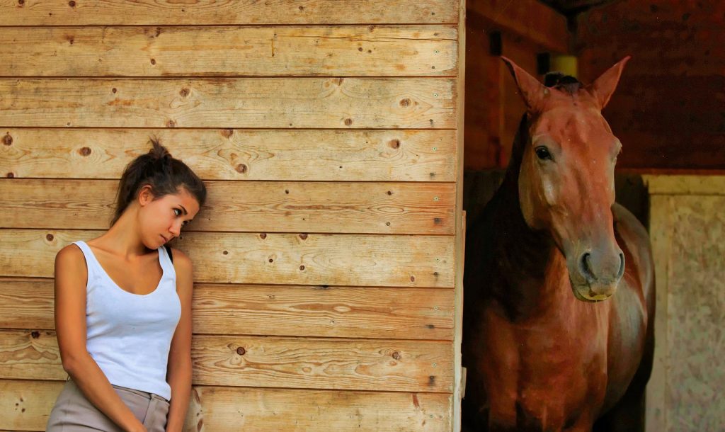 The Complete Guide to Colic in Horses