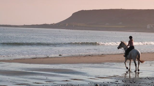 5 Horsey Activities to Make This Summer the Best One Yet