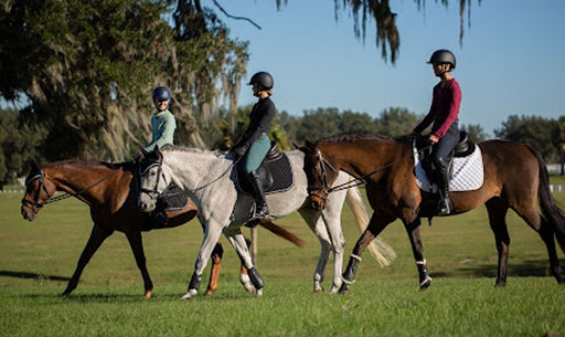 Mastering the Art of Equestrian Style: Trends in Horse and Rider Fashion for 2025