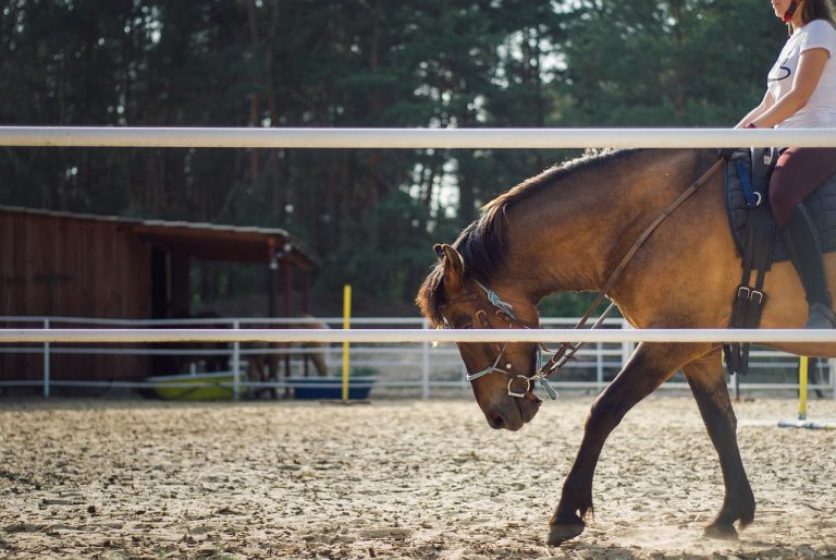 Afraid to Ride? 5 Ways to Boost Confidence and Beat Your Fear