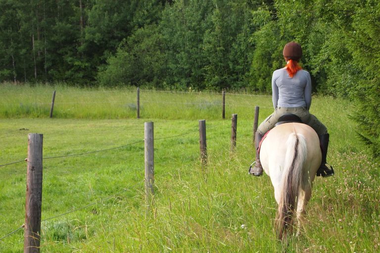 9 Reasons Why You Should Go Horseback Riding Outdoors