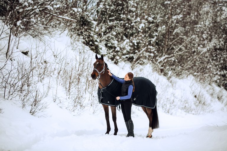 6 Ways to Prepare for Winter Riding and Horse Ownership
