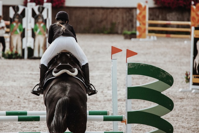 How To Jump Bigger Jumps on Your Horse (5 Tips)