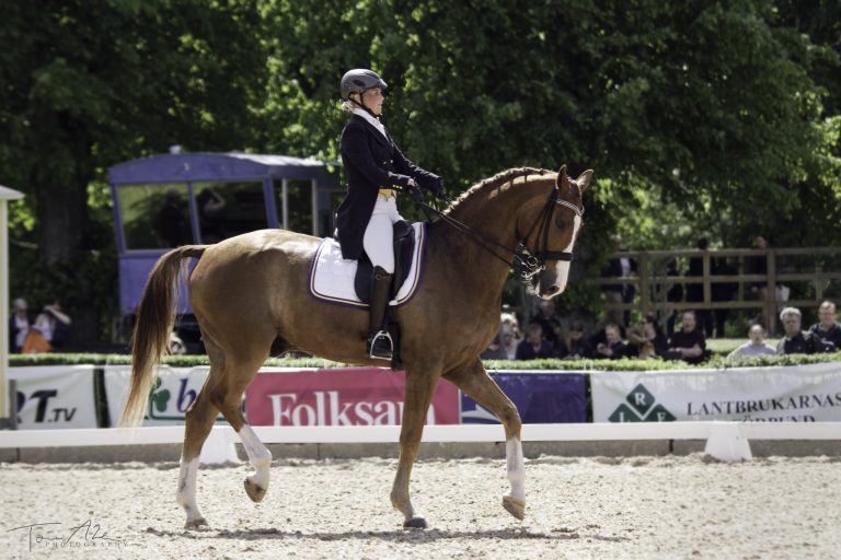 4 Areas Riders Lose Marks at Dressage Shows