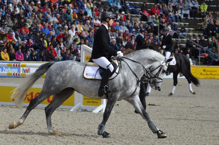 The Complete Guide to Riding Transitions on Your Horse