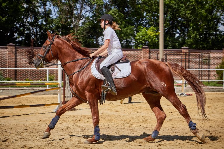 8 Easy Ways to Film Riding Lessons with Your Phone