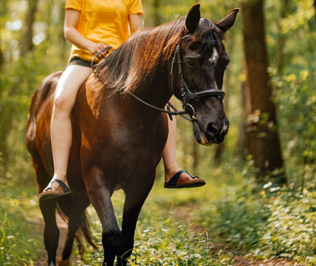 The Benefits and Drawbacks of Riding Your Horse Bareback