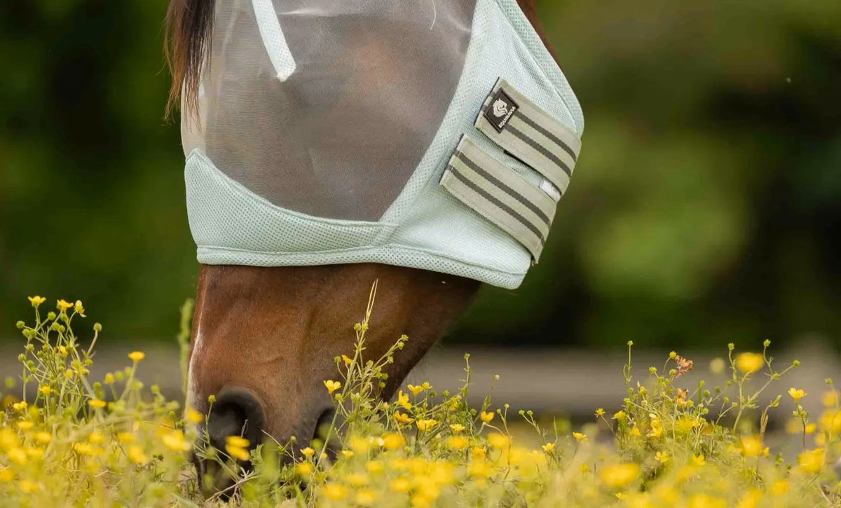 Fly Masks 101: How to Pick the Right Fly Mask for Your Horse