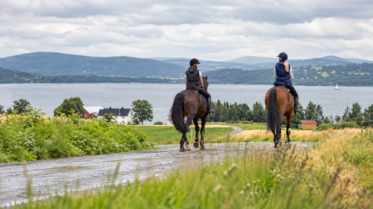 Safe on the Trail: Leg Protection for Trail Riding with Horses