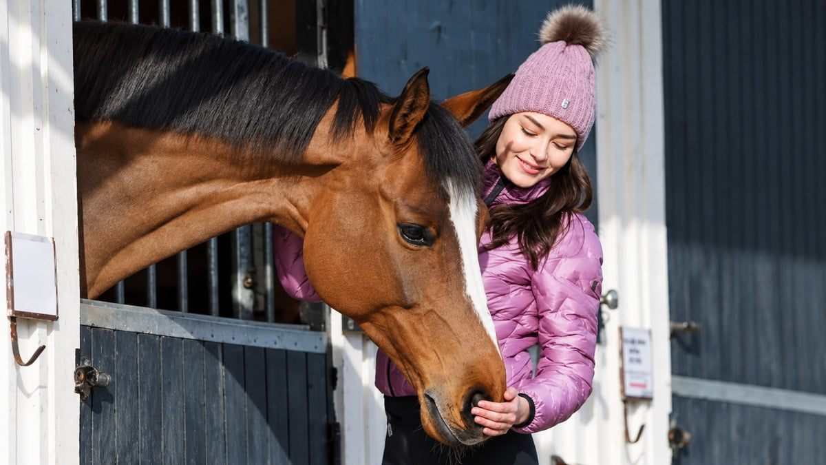 How to Help Your Horse Thrive This Winter