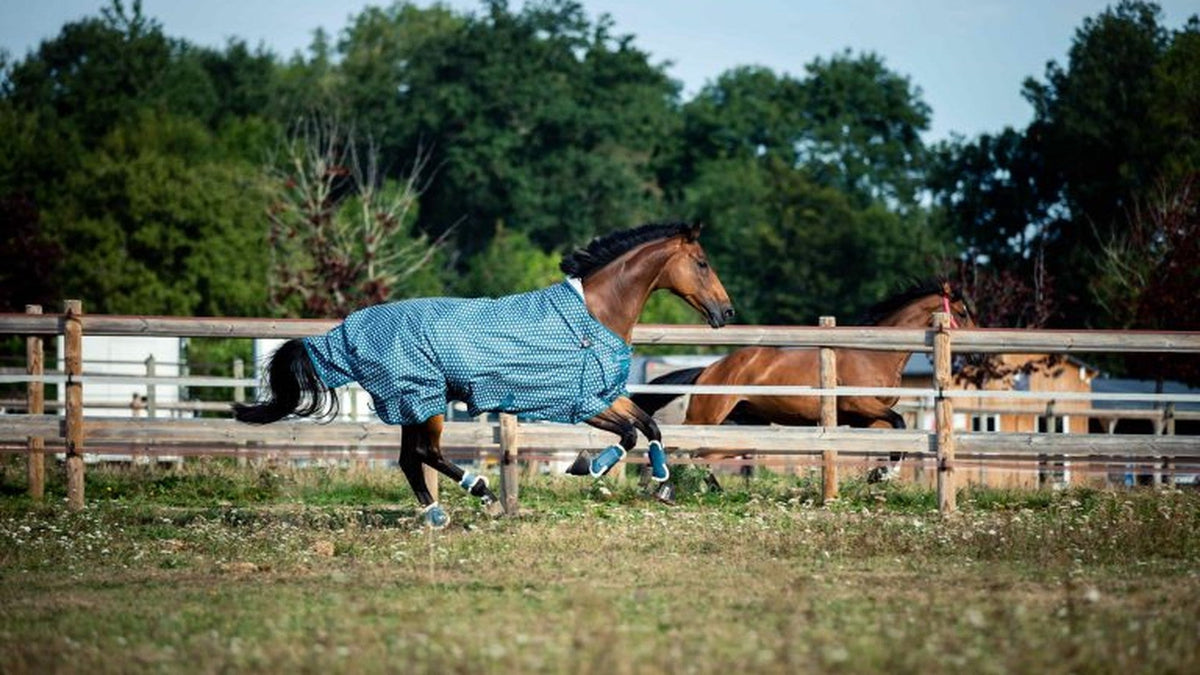 Everything You Need to Know About Rain Sheets