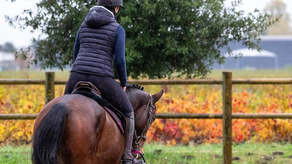 How to Turn Your Horse Without Pulling the Inside Rein