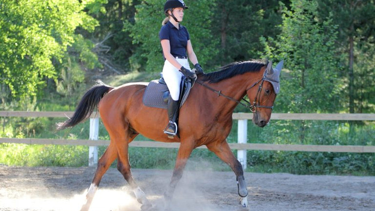 How to Post the Trot on Your Horse