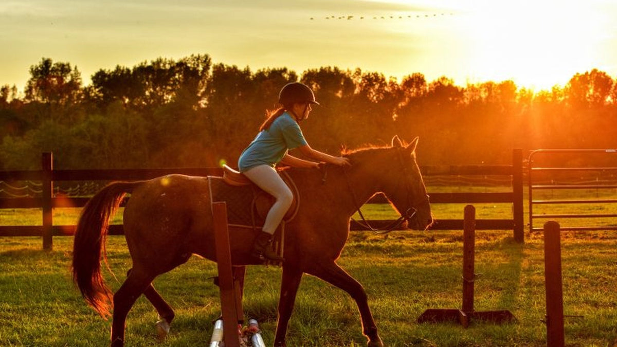 17 Ways Riding Horses Prepares You for the ‘Real World’