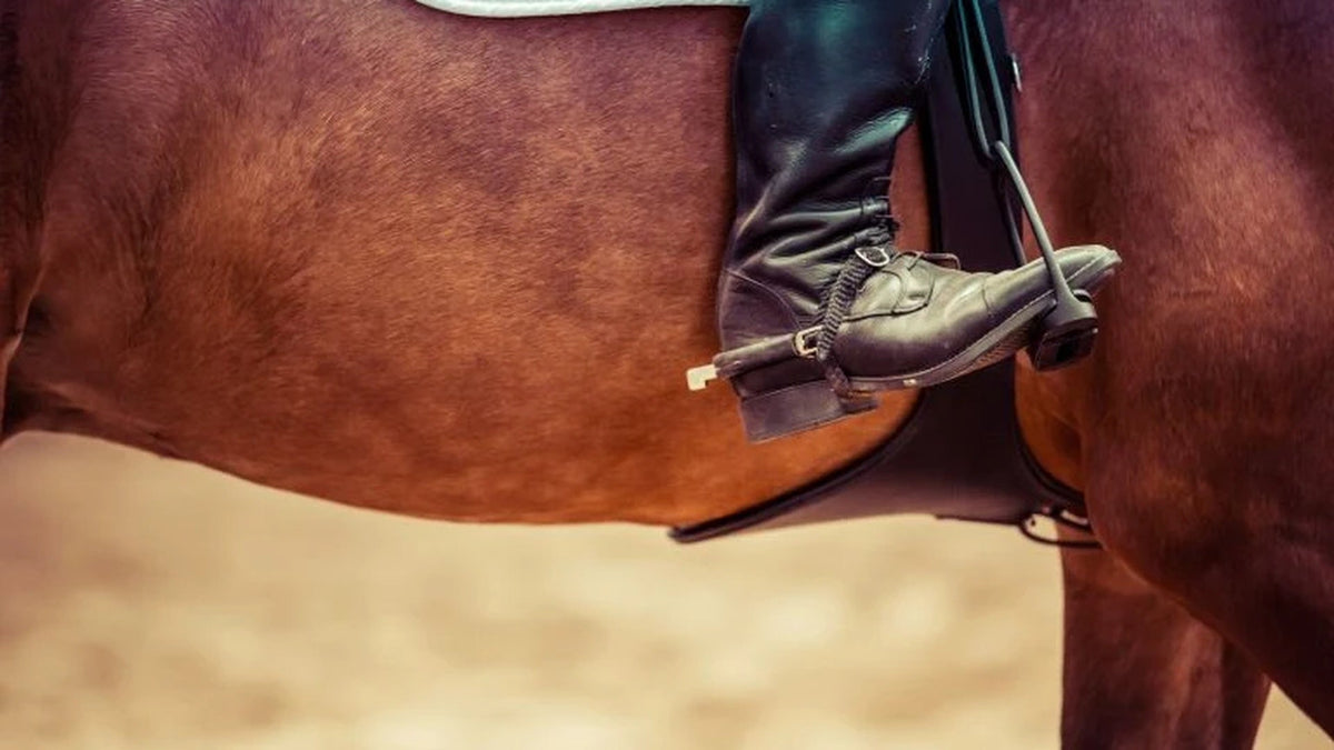 9 Ways Natural Horsemanship Can Make You a Better Equestrian