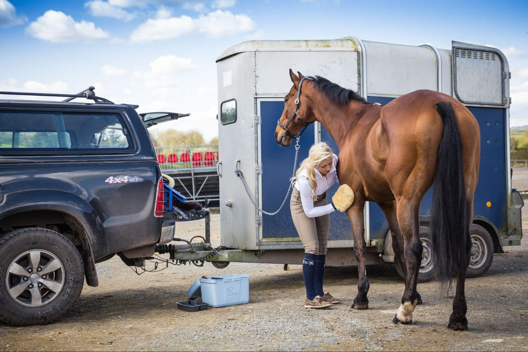 Cold-Weather Grooming Tips to Keep Your Horse’s Coat and Skin Healthy