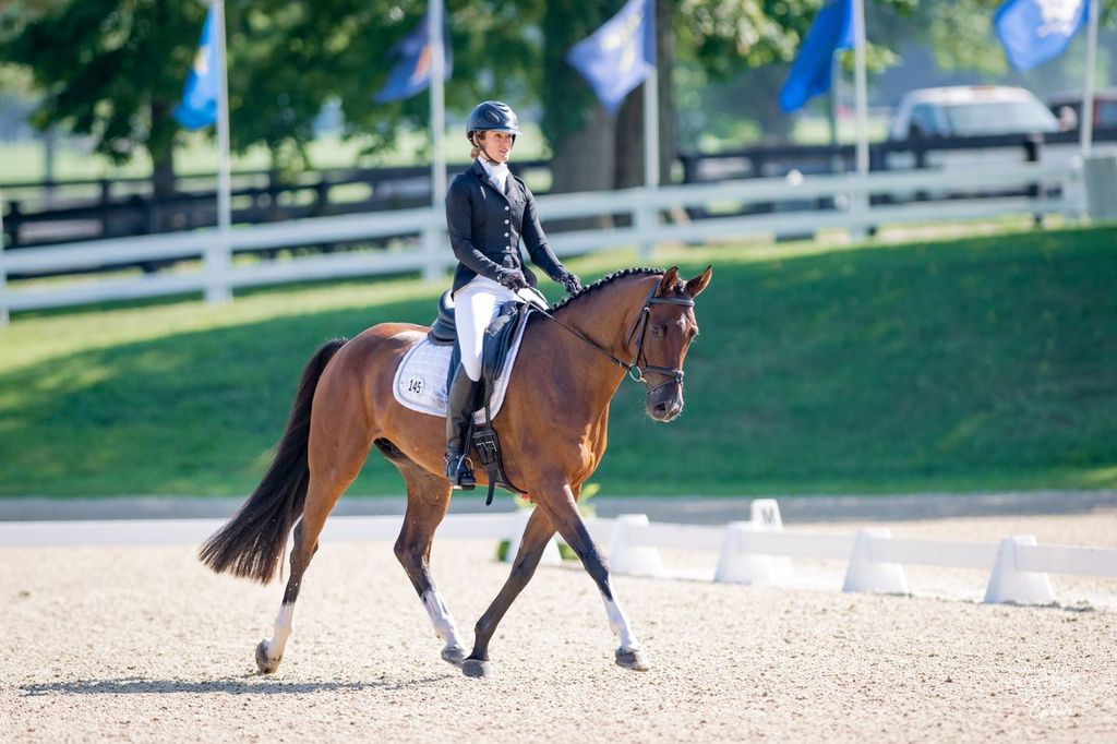 How to Get into Show Jumping (Essential Guide)