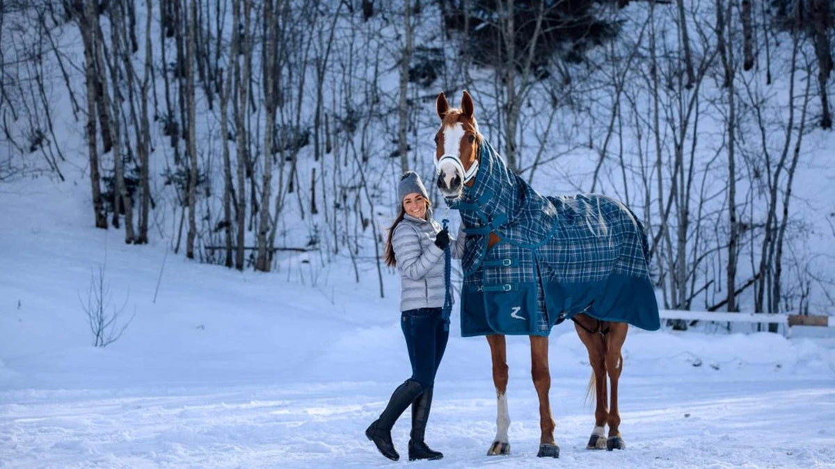 What You Need to Know About Winter Turnout Blankets