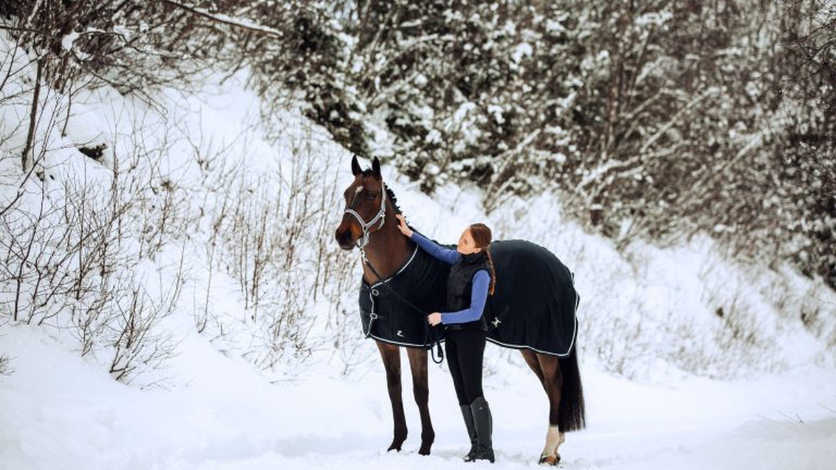 6 Ways to Prepare for Winter Riding and Horse Ownership