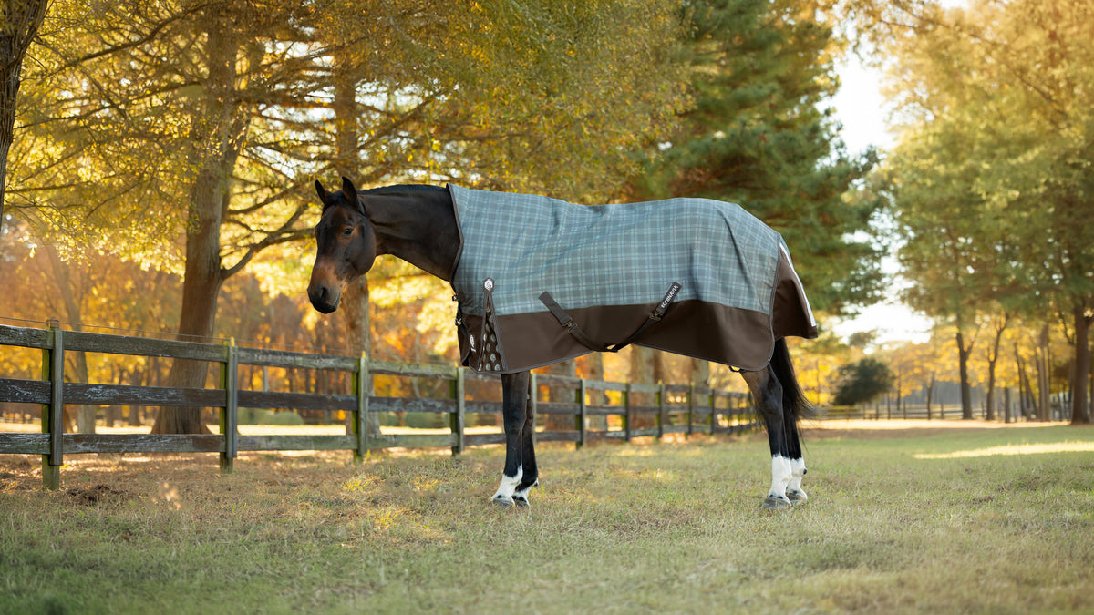 Equinavia Arktis Blankets