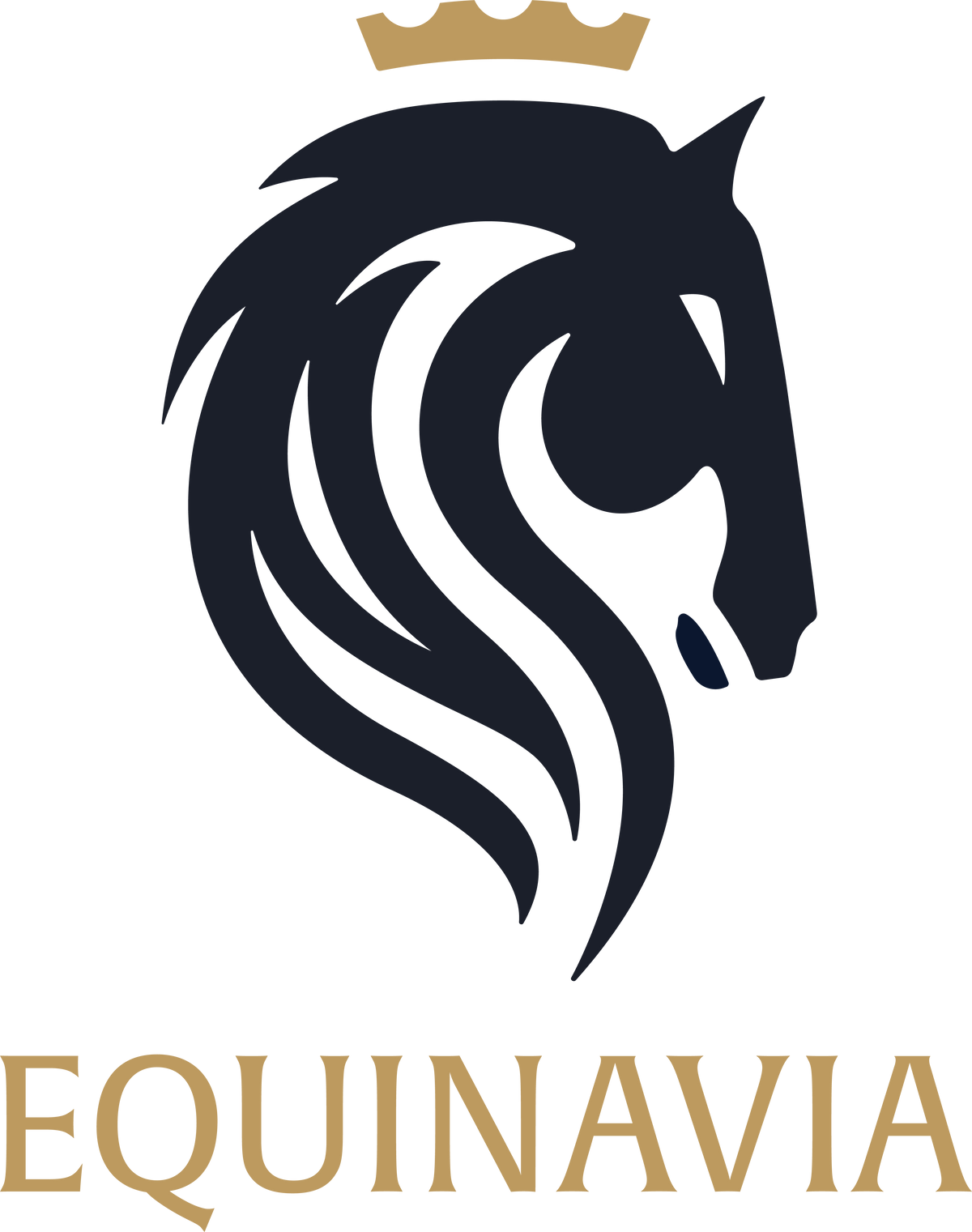 Equinavia