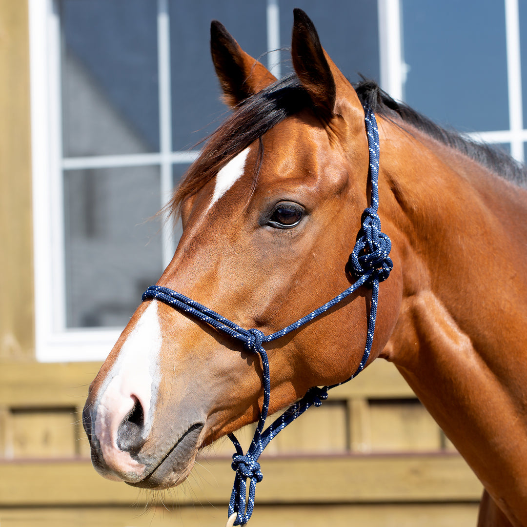 Equinavia Rope Halter image #1