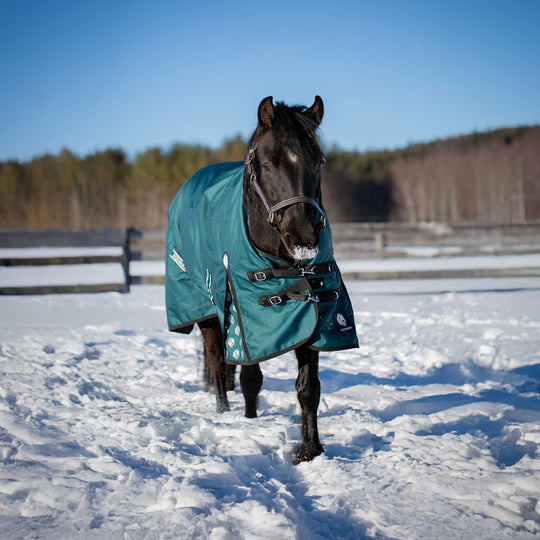 Equinavia Arktis Extended Neck Mid Weight Turnout Blanket 200g image 