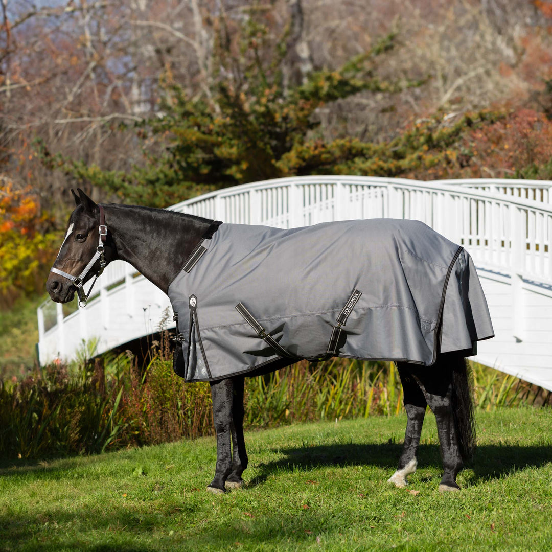 Equinavia Arktis Regular Neck Light Weight Turnout Blanket 100g image 