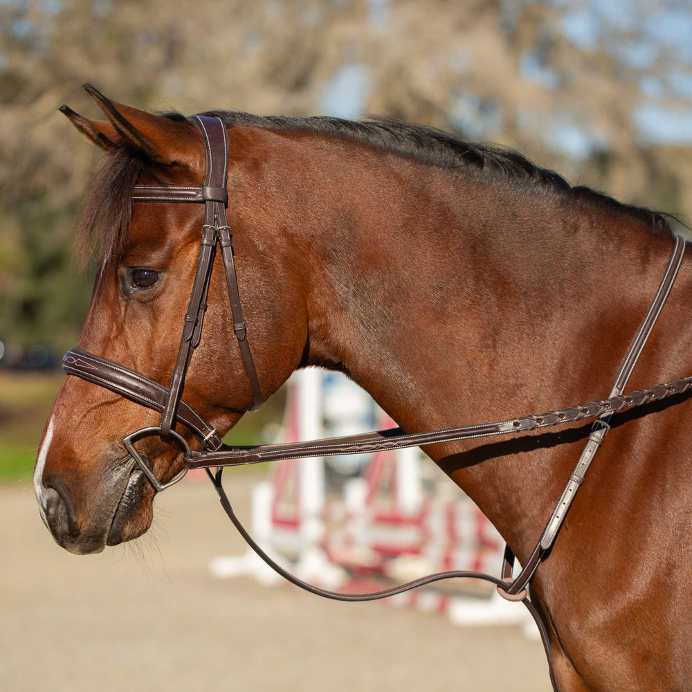 Equinavia Valkyrie Fancy Stitched Standing Martingale image #3