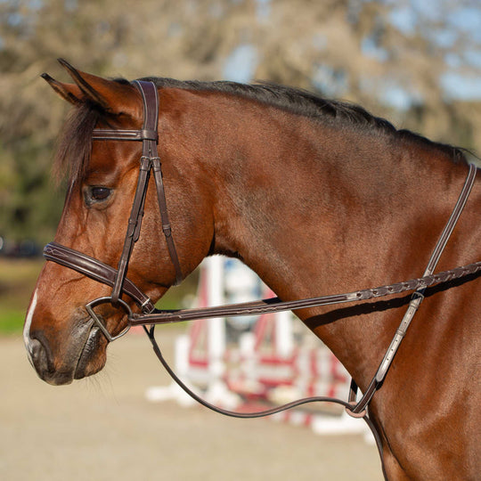 Equinavia Valkyrie Fancy Stitched Standing Martingale image 