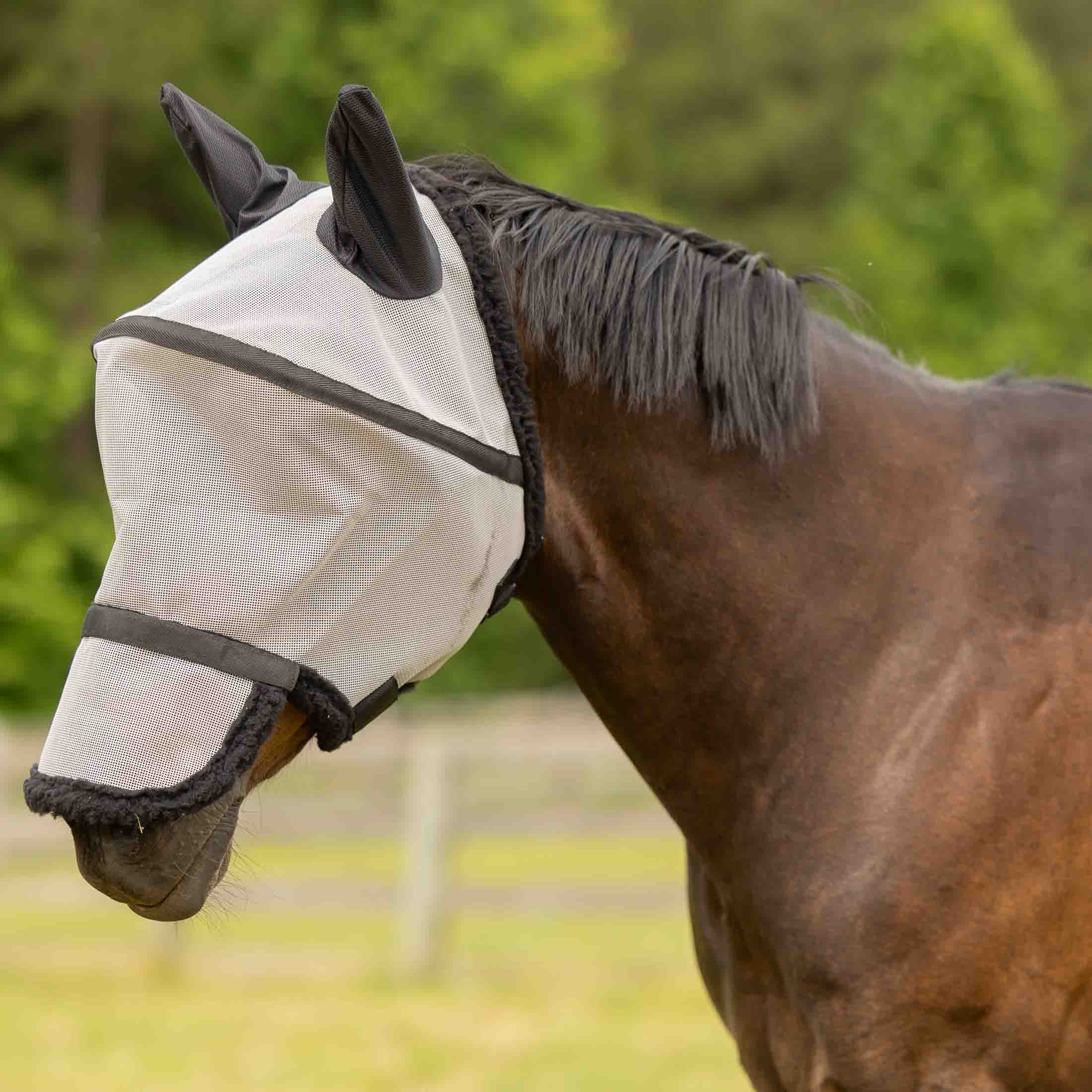 Equinavia Visor Fly Mask with Detachable Nose image #1