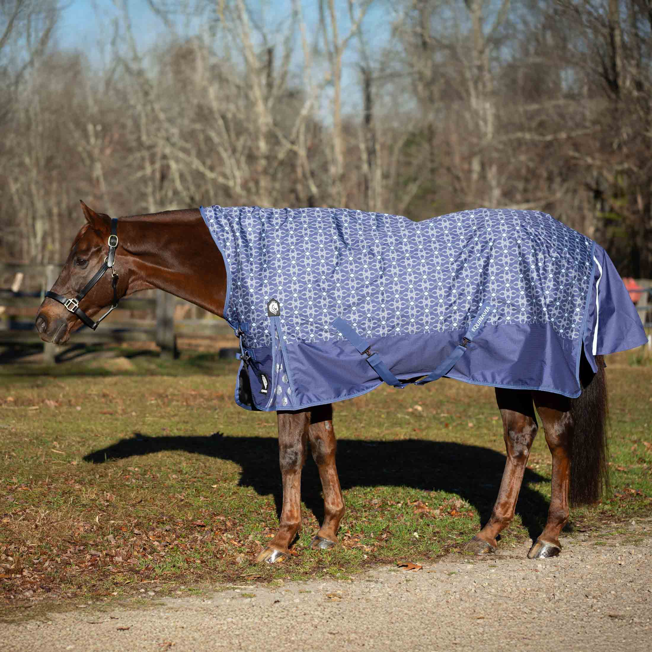 Equinavia Arktis Extended Neck Turnout Sheet image #1