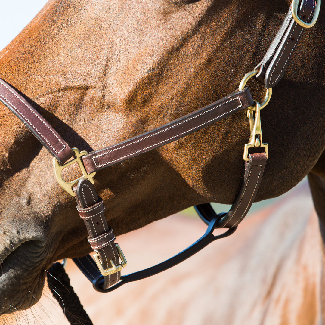Horze Fremont Leather Horse Halter image 