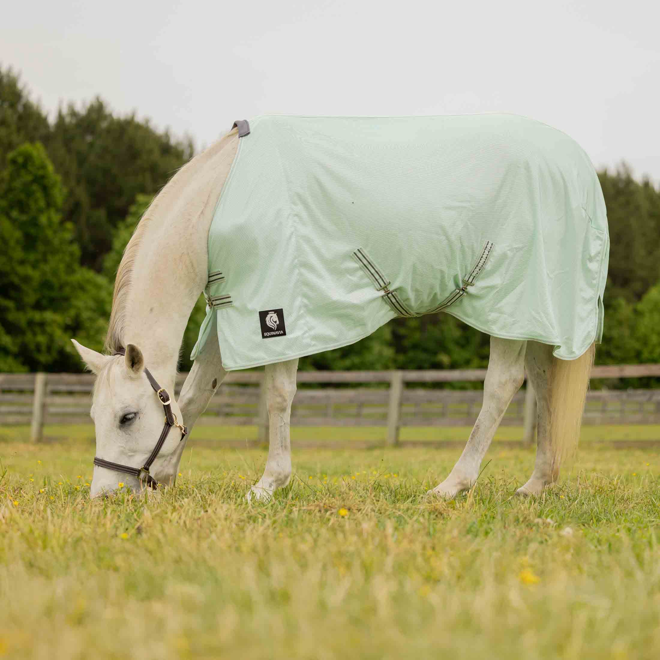 Equinavia Gard Fly Sheet image #1