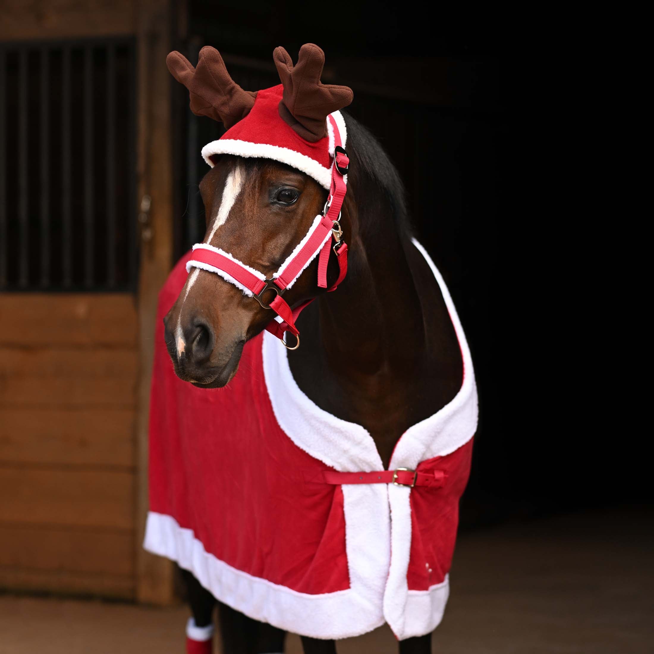 Horze Santa Blanket image #2