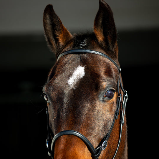 Horze Leather Bitless Bridle image 