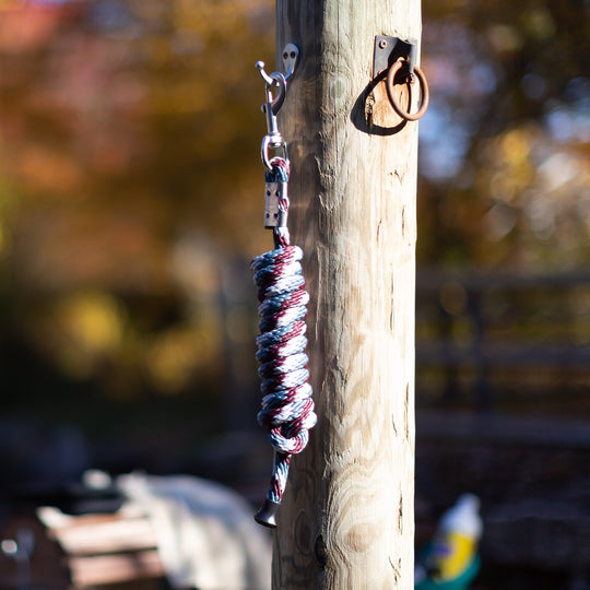 Equinavia Stella Poly Snap Lead Rope image 