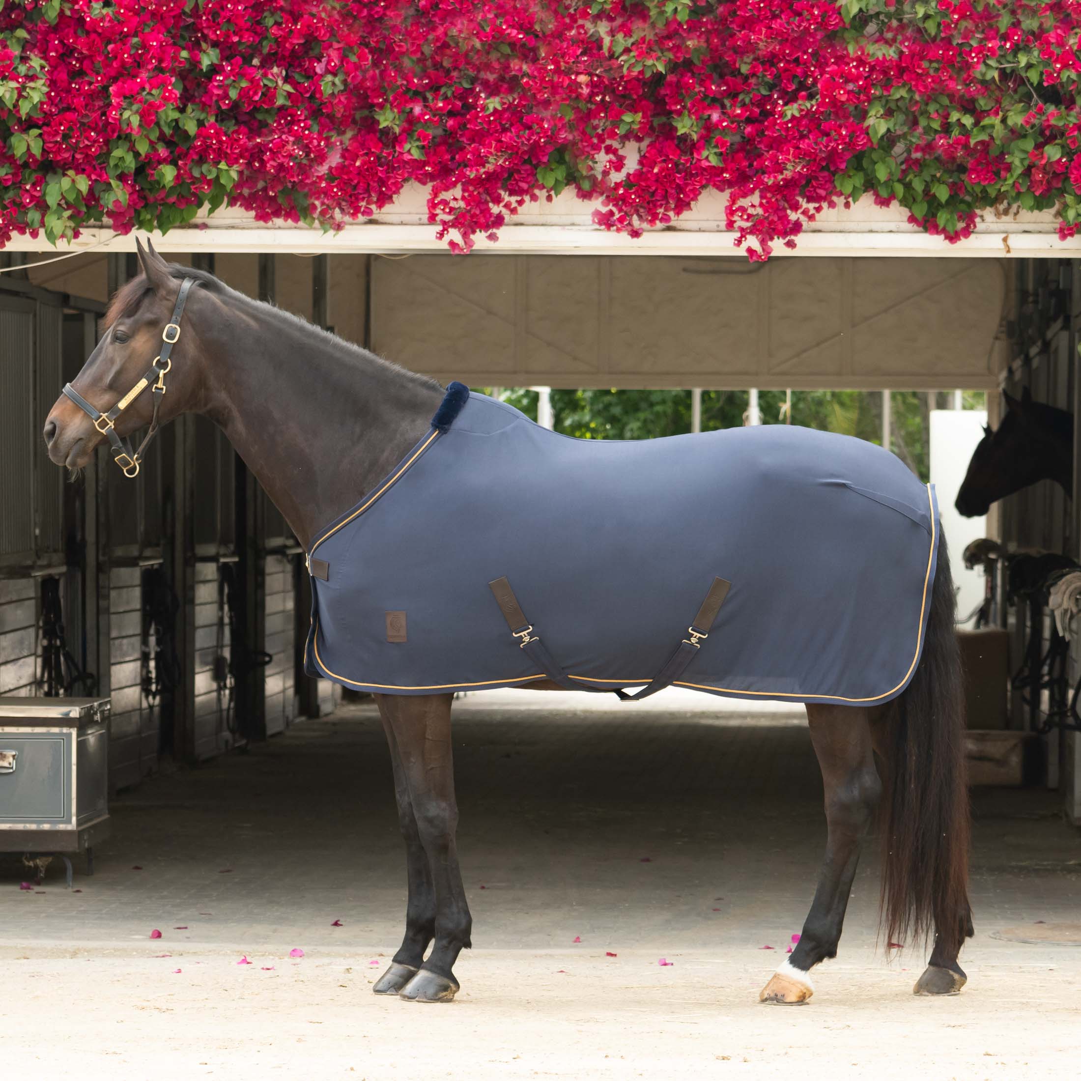 Equinavia Torr Quick Dry Cooler image #1