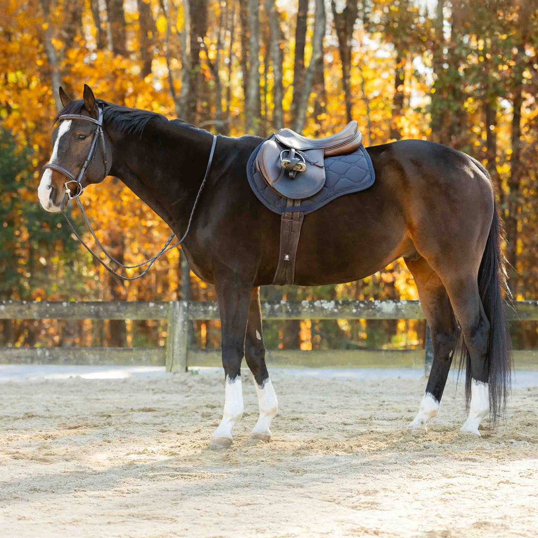 Equinavia Bergen Crystal All Purpose Saddle Pad image 