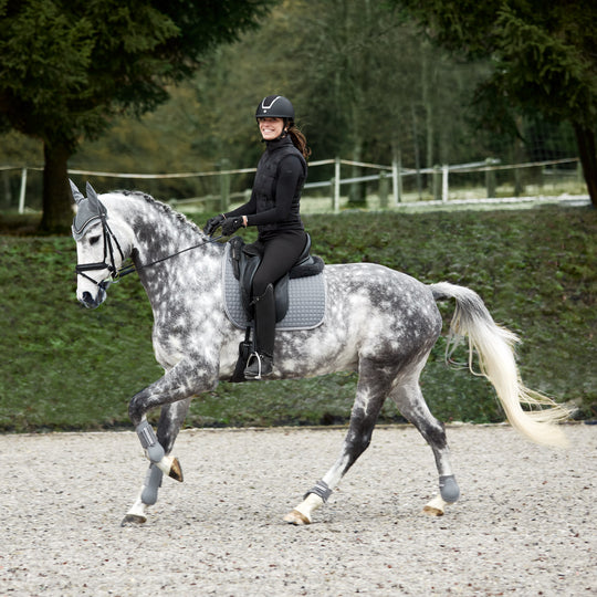 Horze Adepto Tendon Boots image 